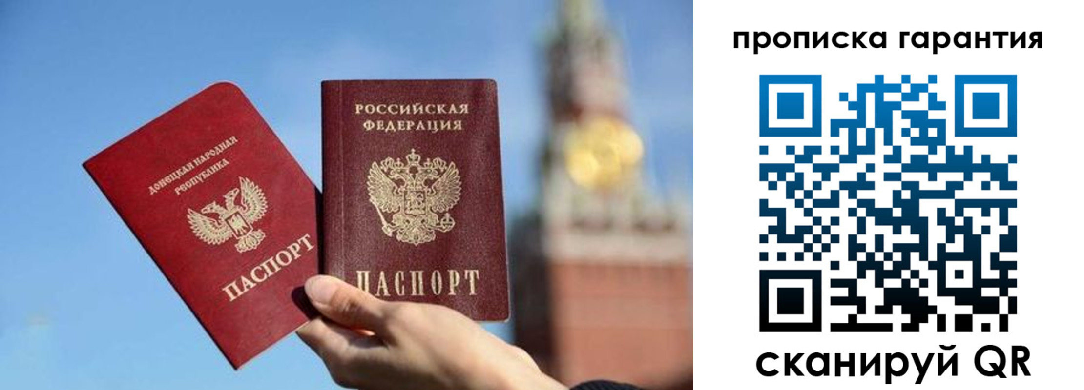 временная регистрация надежно в Амурской области